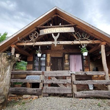 Casa Rustic Feher & Fekete Vendeghazak سوفاتا المظهر الخارجي الصورة