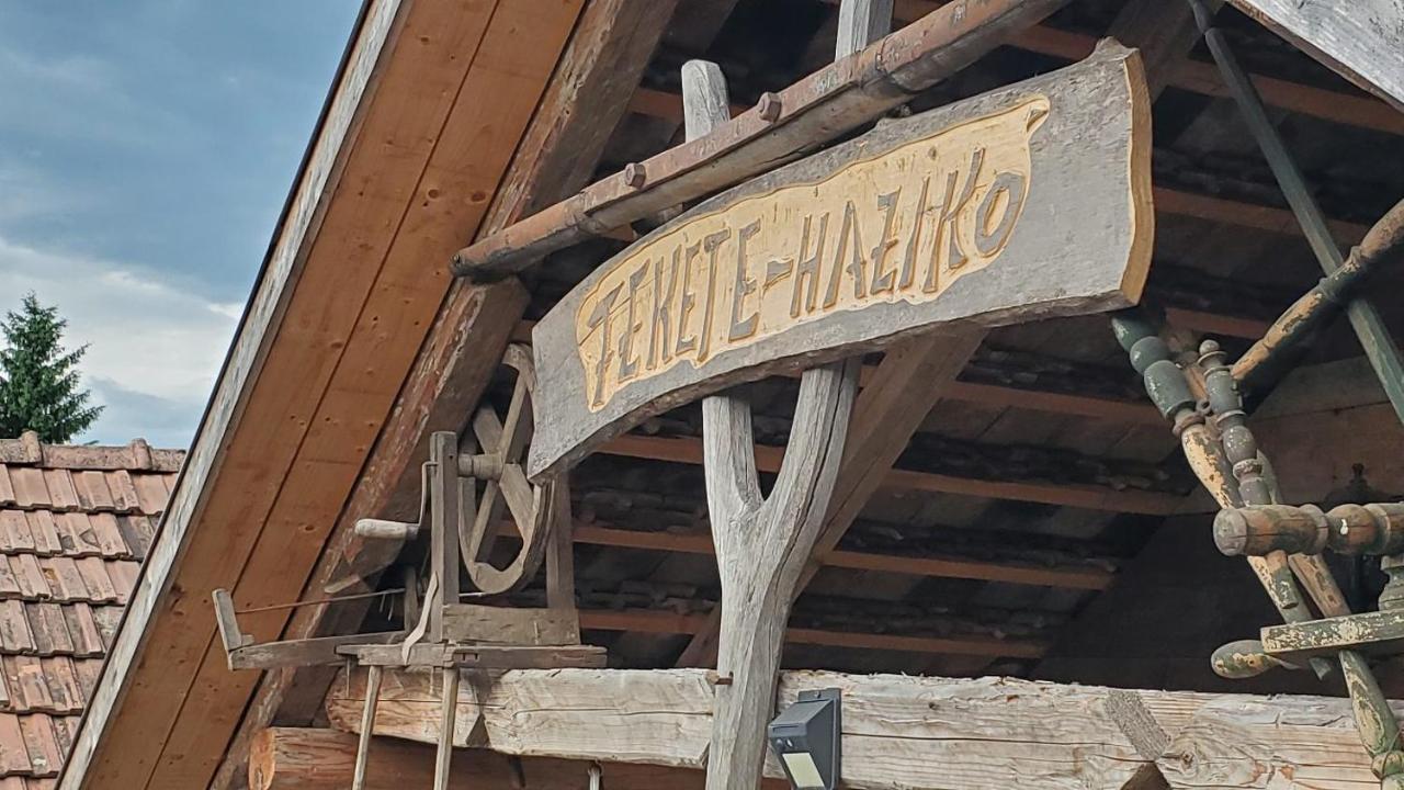 Casa Rustic Feher & Fekete Vendeghazak سوفاتا المظهر الخارجي الصورة