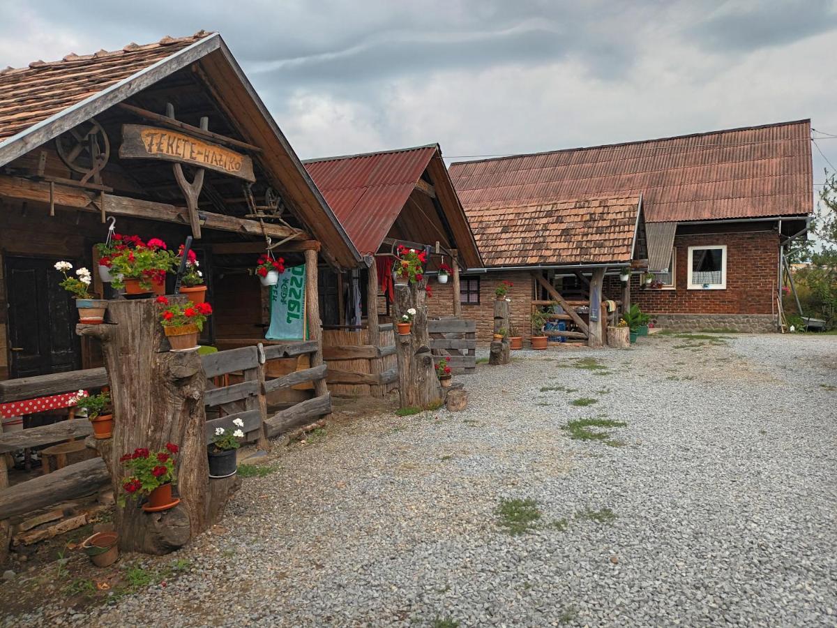 Casa Rustic Feher & Fekete Vendeghazak سوفاتا المظهر الخارجي الصورة